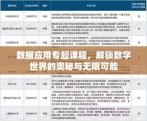 数据应用专题课程,解锁数字世界的奥秘与无限可能