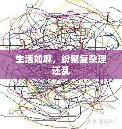 生活如麻,纷繁复杂理还乱