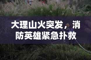大理山火突发,消防英雄紧急扑救
