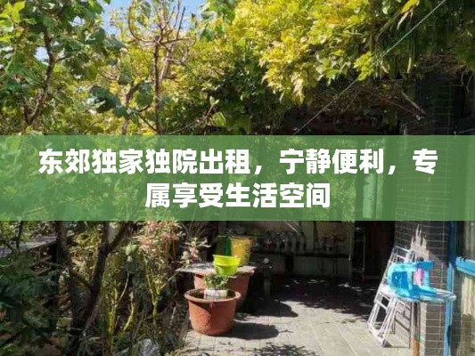 东郊独家独院出租,宁静便利,专属享受生活空间