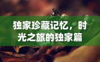 独家珍藏记忆，时光之旅的独家篇章