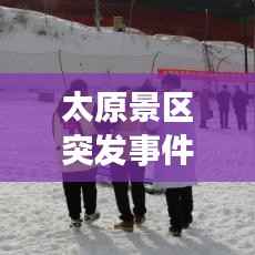 ic芯片采购 第195页