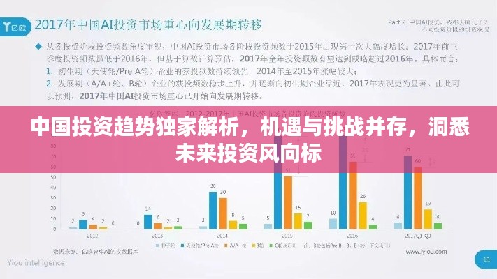 中国投资趋势独家解析，机遇与挑战并存，洞悉未来投资风向标