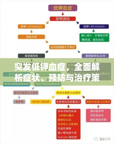 突发低钾血症,全面解析症状、预防与治疗策略
