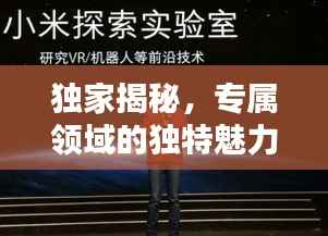 独家揭秘,专属领域的独特魅力探索
