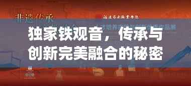 独家铁观音,传承与创新完美融合的秘密