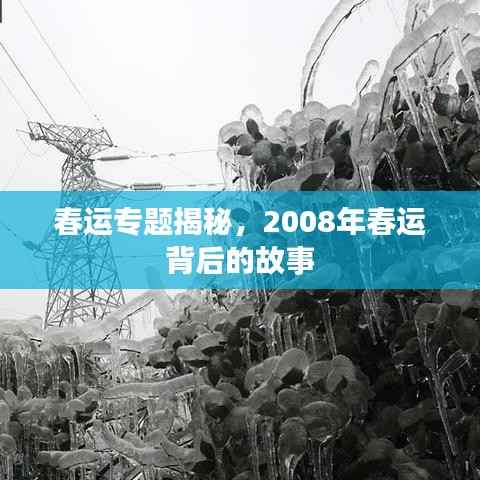 春运专题揭秘,2008年春运背后的故事