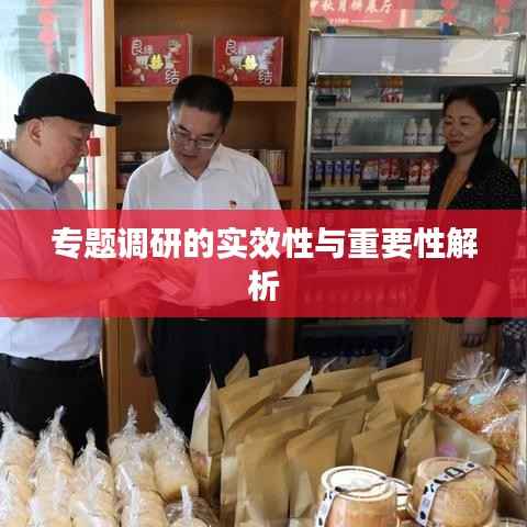专题调研的实效性与重要性解析
