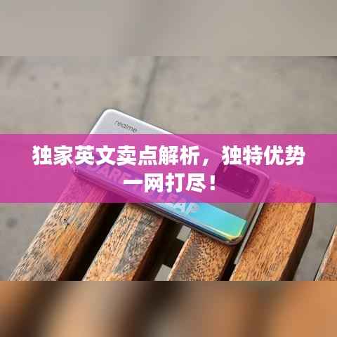 独家英文卖点解析，独特优势一网打尽！