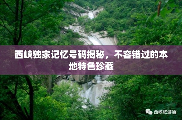 西峡独家记忆号码揭秘,不容错过的本地特色珍藏