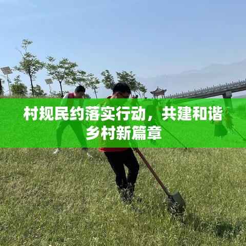 村规民约落实行动，共建和谐乡村新篇章