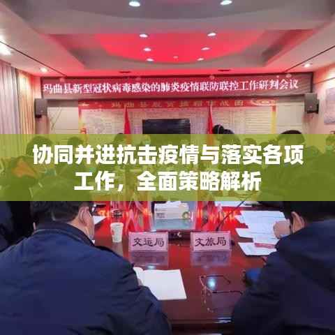 协同并进抗击疫情与落实各项工作,全面策略解析