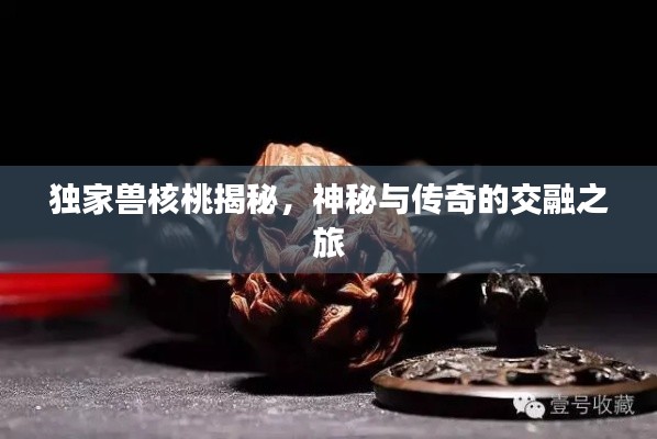 荡然无存 第3页