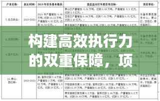 构建高效执行力的双重保障,项项落实,条条整改