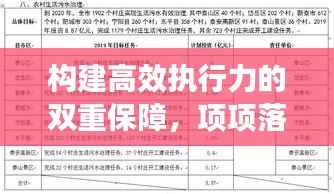 构建高效执行力的双重保障,项项落实,条条整改