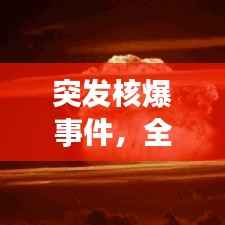 鸟覆危巢 第3页