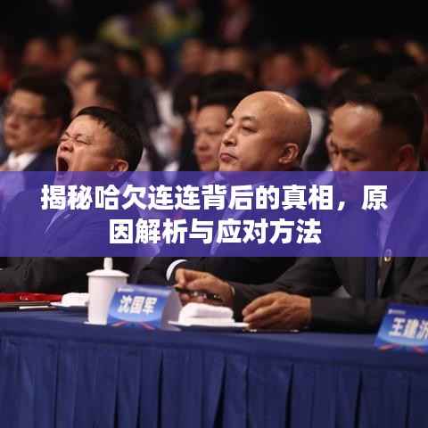 揭秘哈欠连连背后的真相,原因解析与应对方法