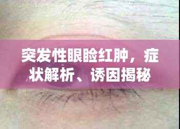 突发性眼睑红肿,症状解析、诱因揭秘及应对良方