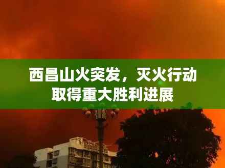 西昌山火突发,灭火行动取得重大胜利进展