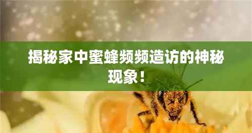 揭秘家中蜜蜂频频造访的神秘现象！
