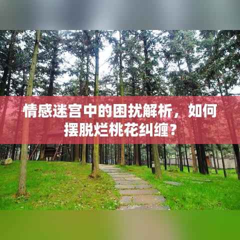 情感迷宫中的困扰解析,如何摆脱烂桃花纠缠?