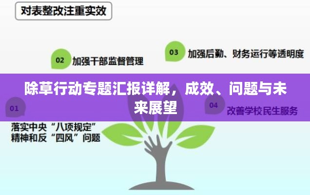 除草行动专题汇报详解，成效、问题与未来展望