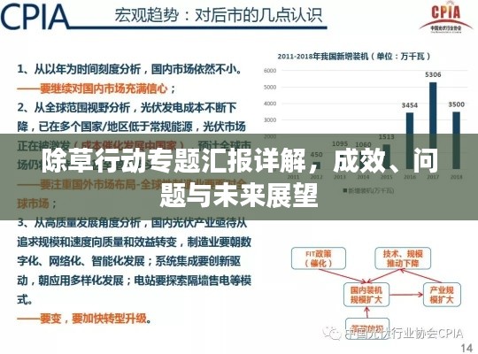 除草行动专题汇报详解,成效、问题与未来展望