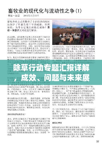 除草行动专题汇报详解,成效、问题与未来展望