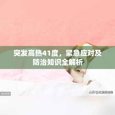 突发高热41度，紧急应对及防治知识全解析