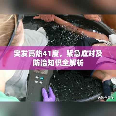 突发高热41度,紧急应对及防治知识全解析