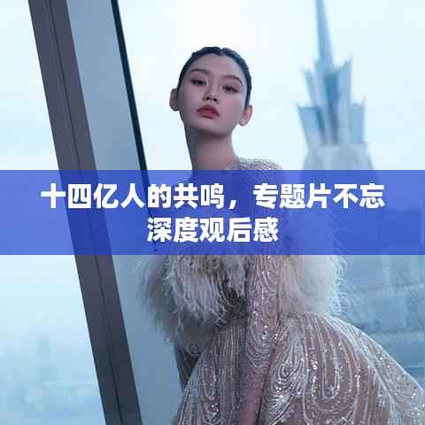 十四亿人的共鸣，专题片不忘深度观后感