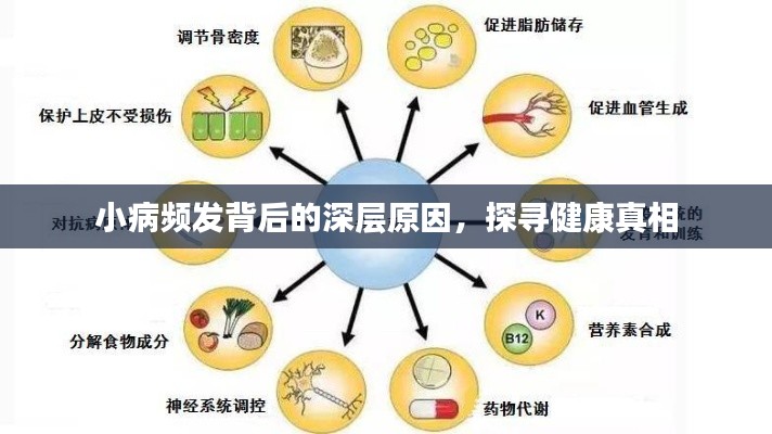 小病频发背后的深层原因,探寻健康真相