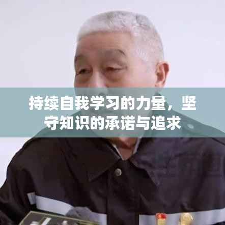 持续自我学习的力量,坚守知识的承诺与追求