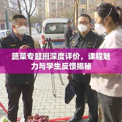 蔬菜专题班深度评价，课程魅力与学生反馈揭秘