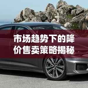 市场趋势下的降价售卖策略揭秘!