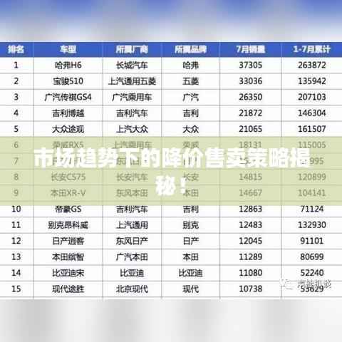 市场趋势下的降价售卖策略揭秘!