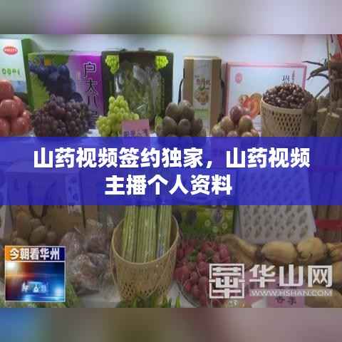 山药视频签约独家,山药视频主播个人资料