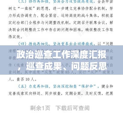政治巡查工作深度汇报,巡查成果、问题反思与未来展望