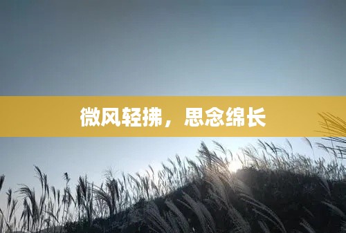 微风轻拂,思念绵长