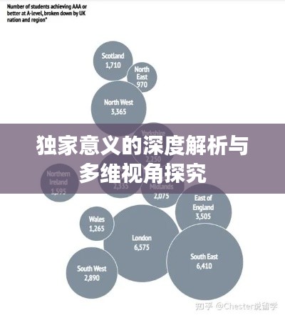 独家意义的深度解析与多维视角探究
