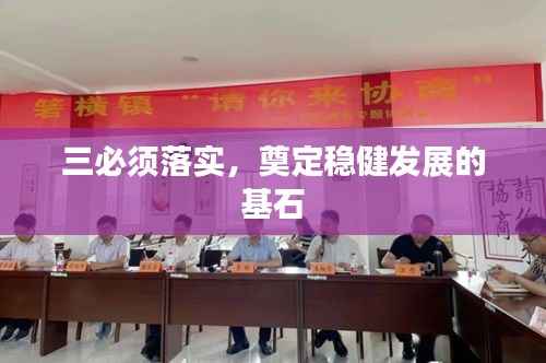 三必须落实,奠定稳健发展的基石