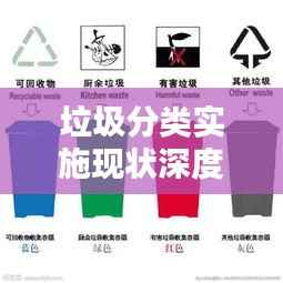 垃圾分类实施现状深度解析