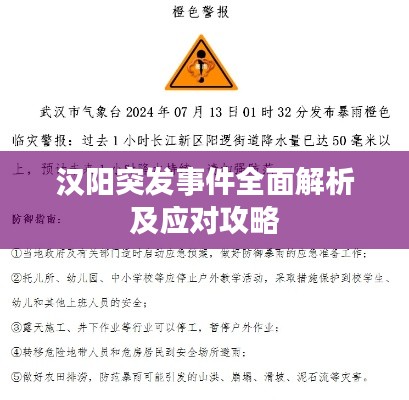 汉阳突发事件全面解析及应对攻略