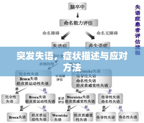 突发失语,症状描述与应对方法