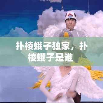 扑棱蛾子独家，扑棱蛾子是谁 