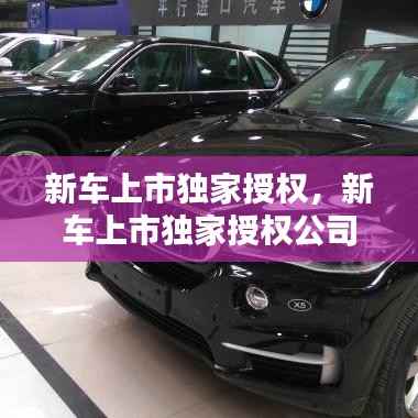 新车上市独家授权,新车上市独家授权公司