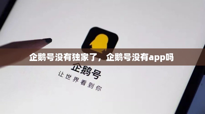 企鹅号没有独家了,企鹅号没有app吗