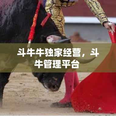 斗牛牛独家经营，斗牛管理平台 