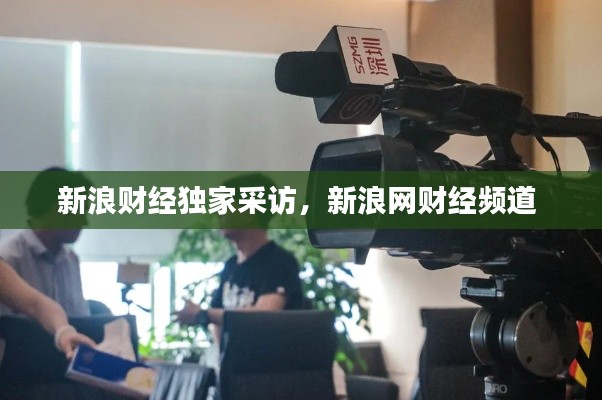 新浪财经独家采访，新浪网财经频道 