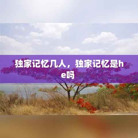 独家记忆几人,独家记忆是he吗